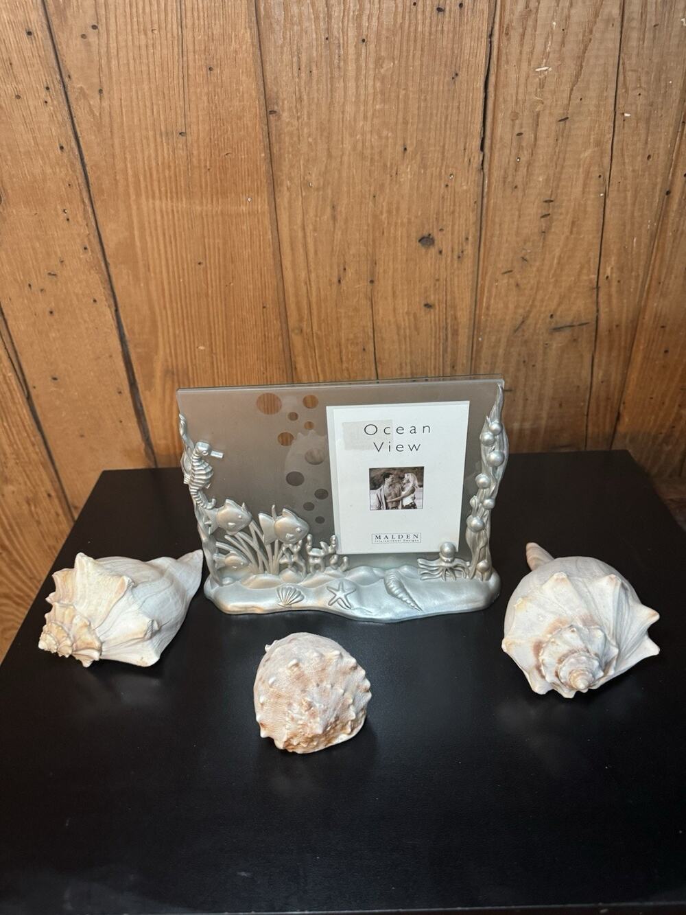 3D Ocean Beach Shells Glass Photo Frame 3.5”x5” Coastal Nautical Decor